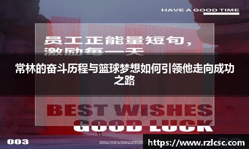 k1体育网页版